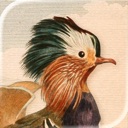 Shipped with Helm: Art of Fauna